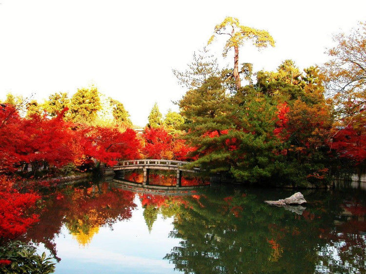 金色秋季美景欣赏 - 江南 - 江南