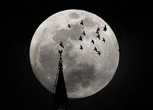 中秋之夜教你如何拍出最美丽的月亮(2)