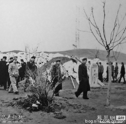 特别罕见的雷锋下葬照片（15p） - nongxinsisheng - 栾青山下的个人主页